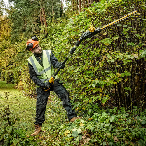 Кущоріз акумуляторний щітковий зі штангою DeWALT DCMPH566N